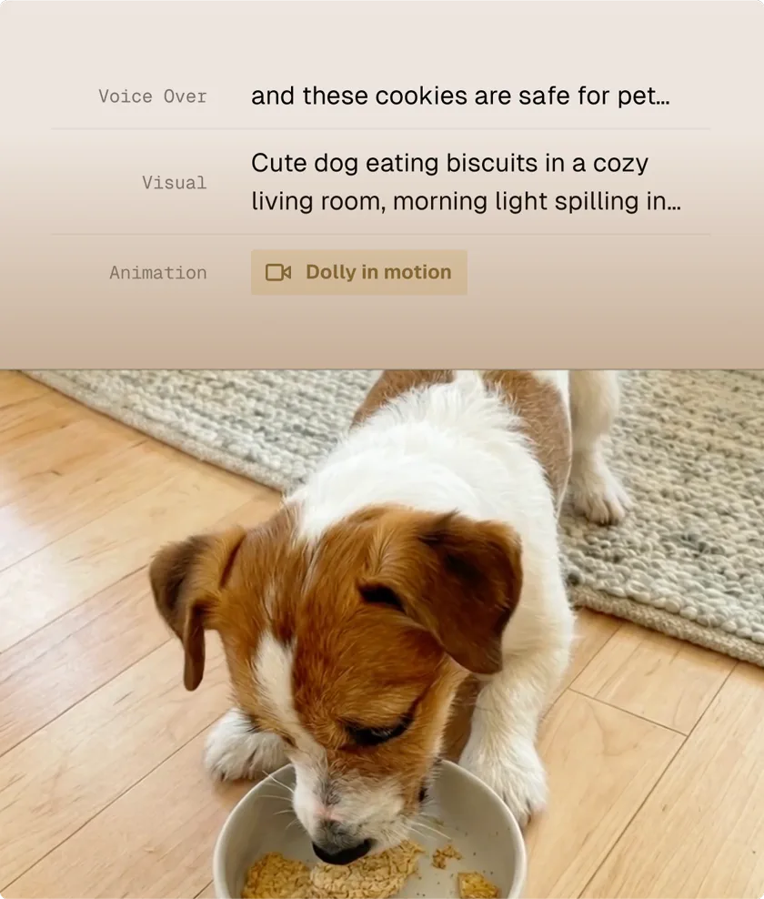 Turn scripts into videos