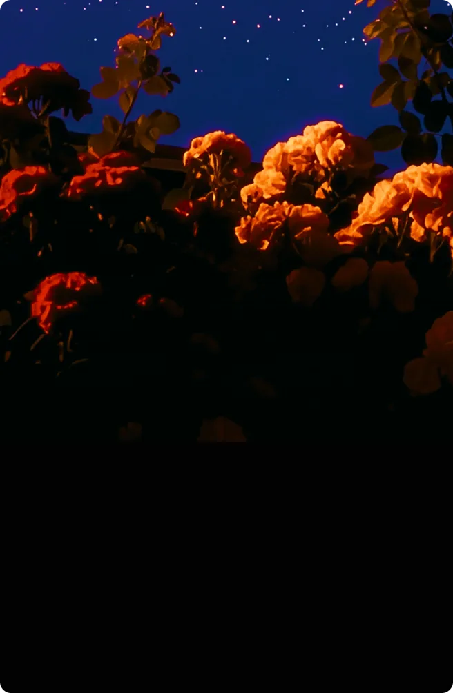Chromatic Labs call to action background